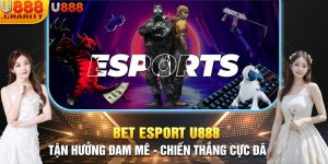 bet esport