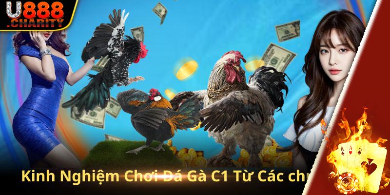 Bí kíp chơi đá gà C1 từ những chuyên gia tại kênh chat U888