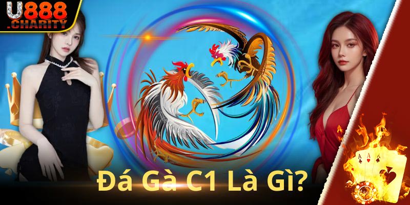 Khái niệm đá gà C1 tại U888