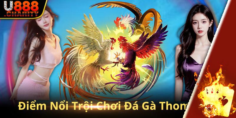 Những điểm nổi trội khi chơi đá gà Thomo tại U888