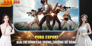 pubg esport