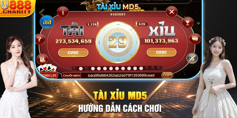 tài xỉu md5